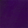 Nightshade Purple